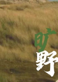 旷野之息1.6.0金手指代码